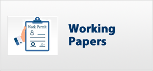Working papers information