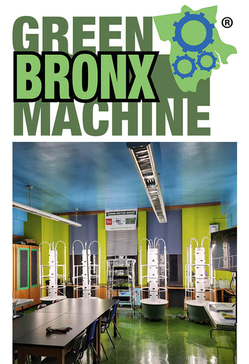 Green Bronx M