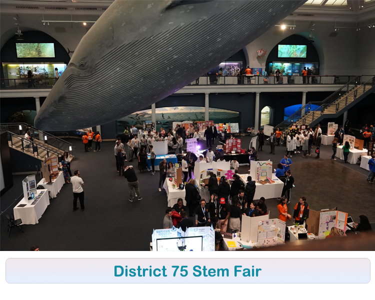 Stem Fair